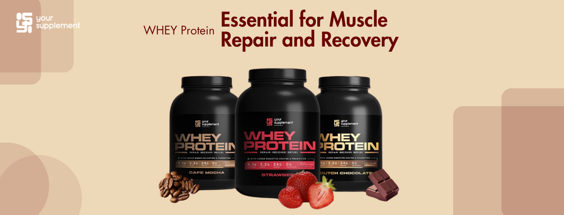 Whey Protein: Essential for Muscle Repair and Recovery