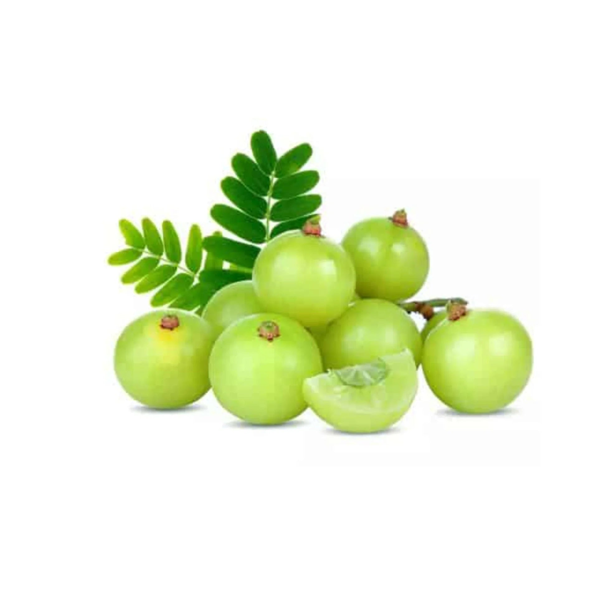 Your-Supplement-product-ingredient-amla