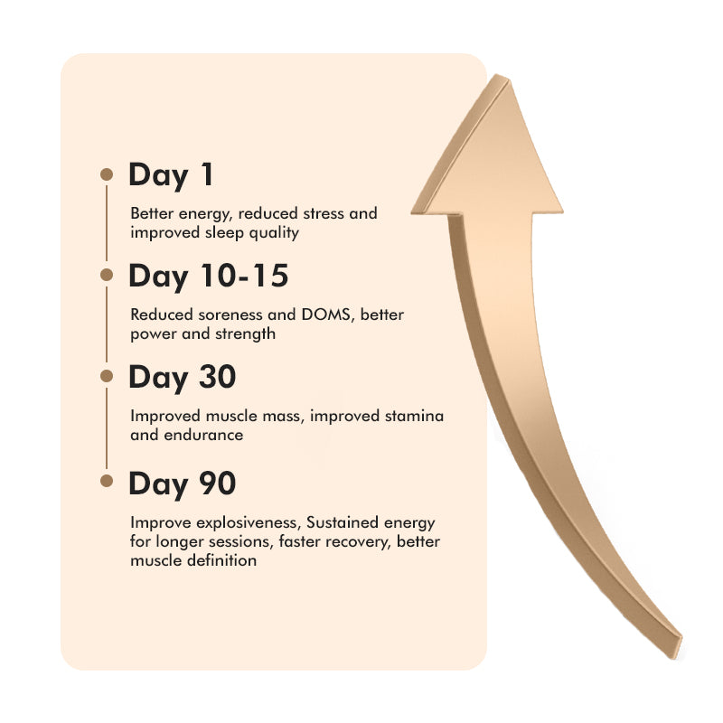 Your-Supplement-athletes-gain-timeline-result