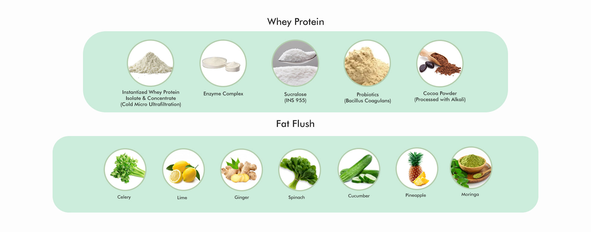 Your-Supplement-whey-protein-fat-flush-combo-product-ingredients